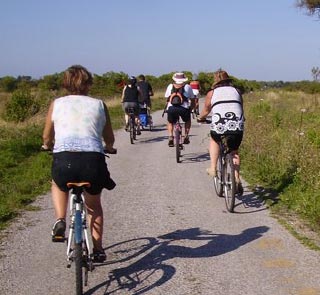 Vive le vélo ! Le sport nature, écolo et pour tous !