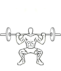 Squat illustration