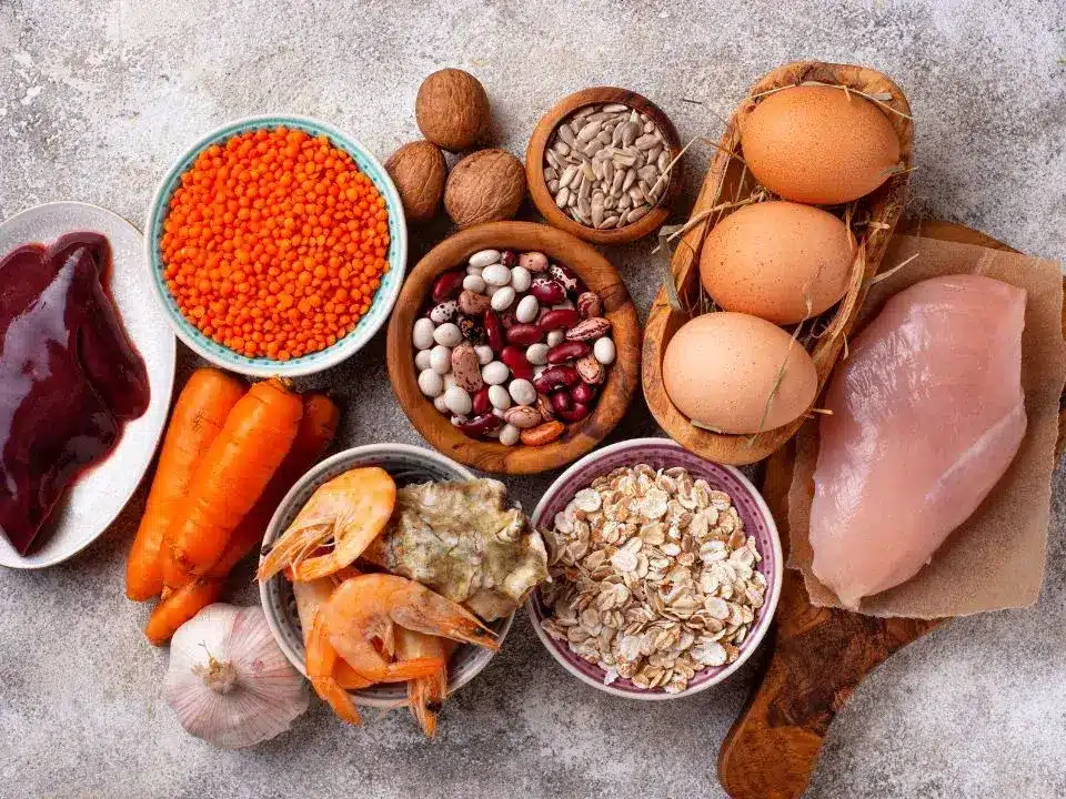 Sources alimentaires de zinc pour contribuer au fonctionnement normal de l’immunité